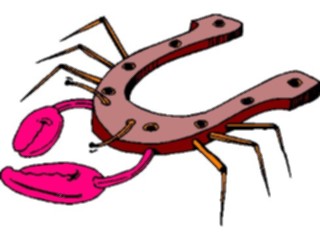 Sticker Custom Preview Image #018823 Animals Cartoons Crab Horseshoe