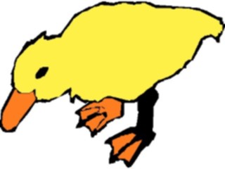 Sticker Custom Preview Image #019616 Animals Cartoons Duck05