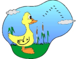 Sticker Custom Preview Image #019637 Animals Cartoons Duck26