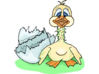 Sticker Custom Preview Image #019681 Animals Cartoons Duck Hatching2