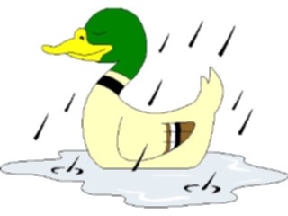 Sticker Custom Preview Image #019684 Animals Cartoons Duckin Rain1