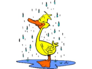 Sticker Custom Preview Image #019685 Animals Cartoons Duckin Rain2