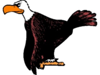Sticker Custom Preview Image #019744 Animals Cartoons Eagle07
