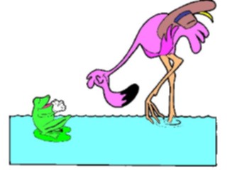 Sticker Custom Preview Image #020068 Animals Cartoons Flamingo Frog