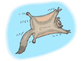 Sticker Custom Preview Image #020095 Animals Cartoons Flying Squirrel1