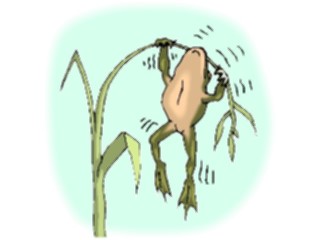 Sticker Custom Preview Image #020189 Animals Cartoons Frog Hanging