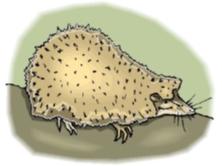 Sticker Custom Preview Image #020368 Animals Cartoons Hedgehog5
