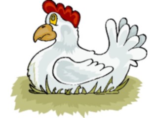 Sticker Custom Preview Image #020380 Animals Cartoons Hen4