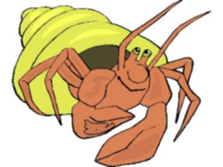 Sticker Custom Preview Image #020391 Animals Cartoons Hermit Crab Happy