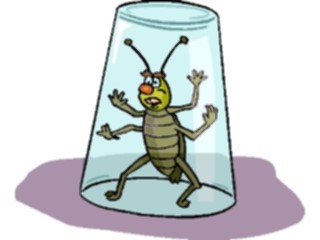 Sticker Custom Preview Image #020509 Animals Cartoons Insect Caught