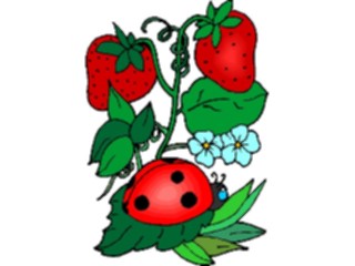 Sticker Custom Preview Image #020594 Animals Cartoons Ladybugon Leaf2