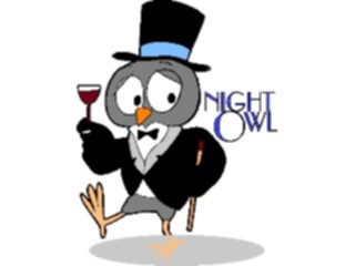 Sticker Custom Preview Image #020994 Animals Cartoons Night Owl