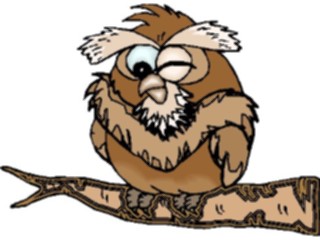 Sticker Custom Preview Image #021093 Animals Cartoons Owl Winking