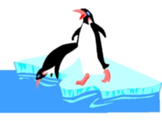 Sticker Custom Preview Image #021231 Animals Cartoons Penguins1