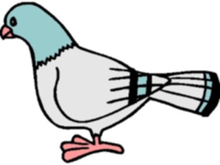 Sticker Custom Preview Image #021331 Animals Cartoons Pigeon