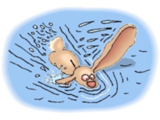 Sticker Custom Preview Image #021560 Animals Cartoons Rabbit Swimming