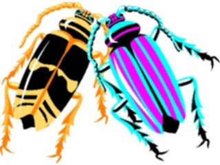 Sticker Custom Preview Image #021713 Animals Cartoons Roaches