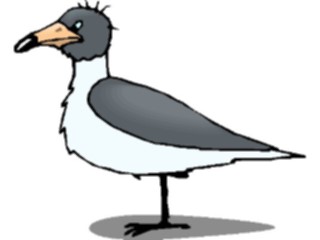 Sticker Custom Preview Image #021772 Animals Cartoons Seagull Grumpy