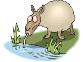 Sticker Custom Preview Image #021868 Animals Cartoons Sheep Drinking