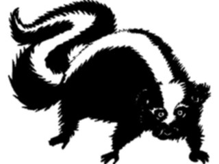 Sticker Custom Preview Image #021883 Animals Cartoons Skunk3