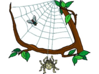 Sticker Custom Preview Image #022045 Animals Cartoons Spider Web3