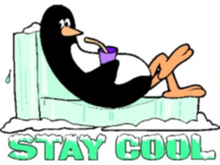 Sticker Custom Preview Image #022093 Animals Cartoons Stay Cool