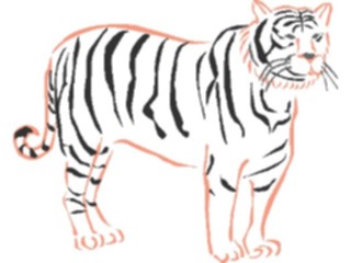 Sticker Custom Preview Image #022124 Animals Cartoons Tiger07