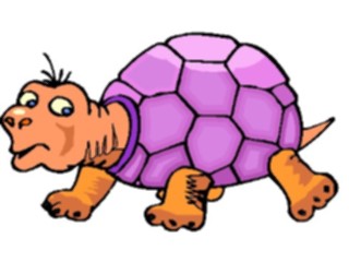 Sticker Custom Preview Image #022179 Animals Cartoons Tortoise7