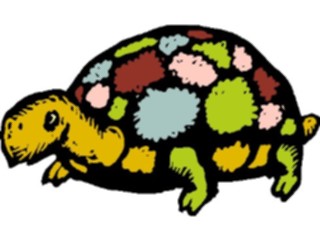 Sticker Custom Preview Image #022180 Animals Cartoons Tortoise8