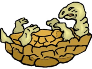 Sticker Custom Preview Image #022192 Animals Cartoons Tortoise On Back2