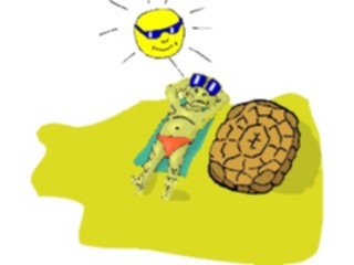 Sticker Custom Preview Image #022200 Animals Cartoons Tortoise Sunbathing