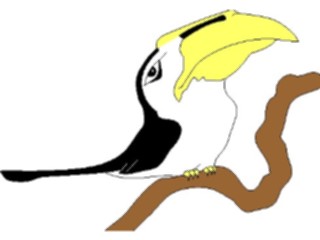 Sticker Custom Preview Image #022206 Animals Cartoons Toucan1