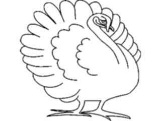 Sticker Custom Preview Image #022228 Animals Cartoons Turkey02