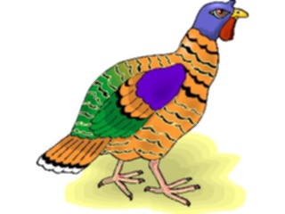 Sticker Custom Preview Image #022237 Animals Cartoons Turkey11