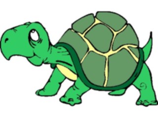 Sticker Custom Preview Image #022261 Animals Cartoons Turtle22