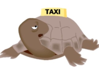 Sticker Custom Preview Image #022296 Animals Cartoons Turtle Taxi