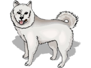 Sticker Custom Preview Image #022698 Animals Domesticated American Eskimo