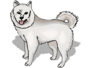 Sticker Custom Preview Image #022698 Animals Domesticated American Eskimo