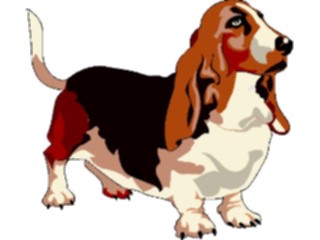 Sticker Custom Preview Image #022699 Animals Domesticated Basset Hound1