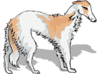 Sticker Custom Preview Image #022713 Animals Domesticated Borzoi