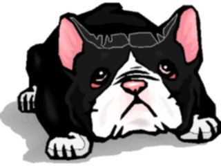 Sticker Custom Preview Image #022714 Animals Domesticated Boston Terrier