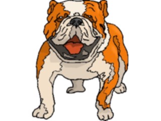 Sticker Custom Preview Image #022723 Animals Domesticated Bulldog4