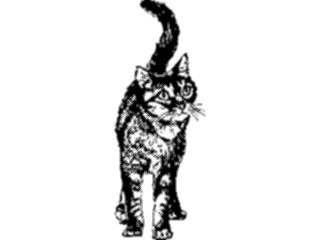 Sticker Custom Preview Image #022731 Animals Domesticated Cat01