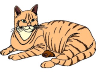 Sticker Custom Preview Image #022735 Animals Domesticated Cat05