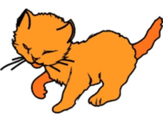 Sticker Custom Preview Image #022742 Animals Domesticated Cat12