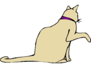 Sticker Custom Preview Image #022743 Animals Domesticated Cat13