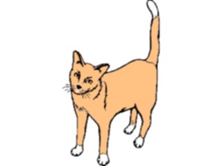 Sticker Custom Preview Image #022746 Animals Domesticated Cat16