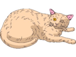 Sticker Custom Preview Image #022750 Animals Domesticated Cat20