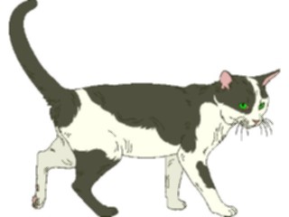 Sticker Custom Preview Image #022753 Animals Domesticated Cat23