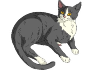 Sticker Custom Preview Image #022756 Animals Domesticated Cat26